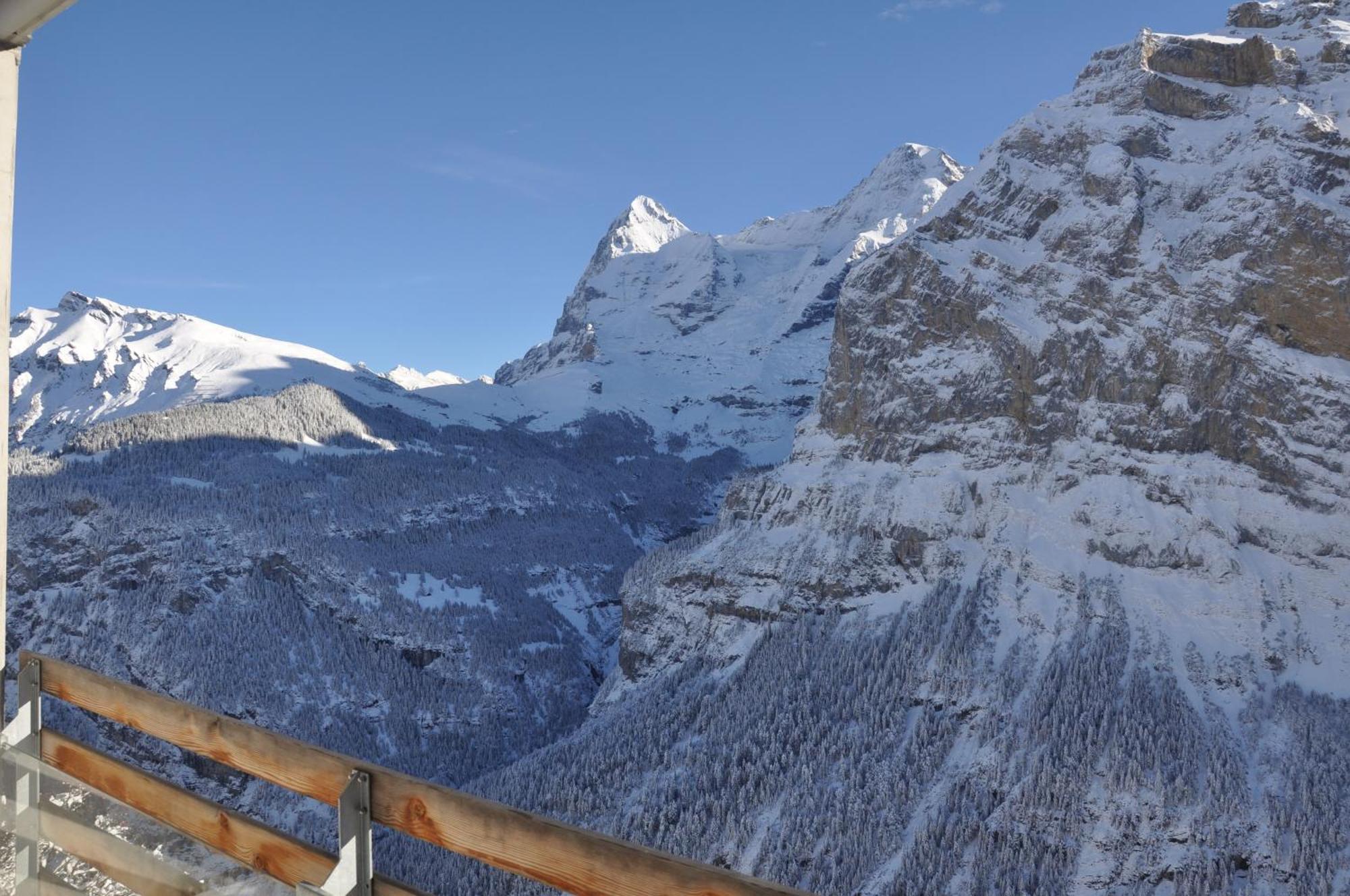 Hotel Edelweiss Superior Mürren Habitación foto